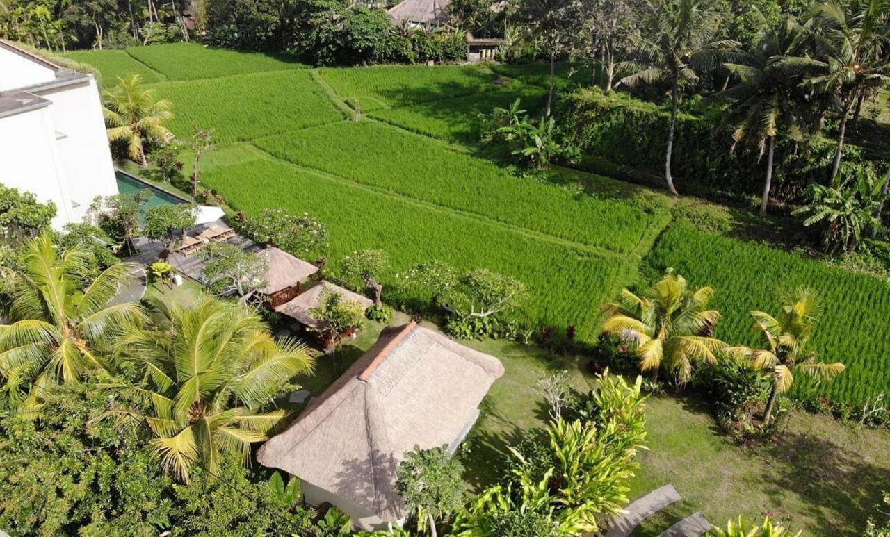 Byasa Ubud Exterior foto