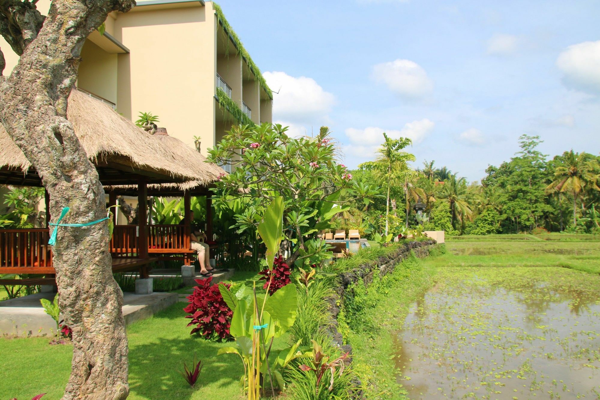 Byasa Ubud Exterior foto